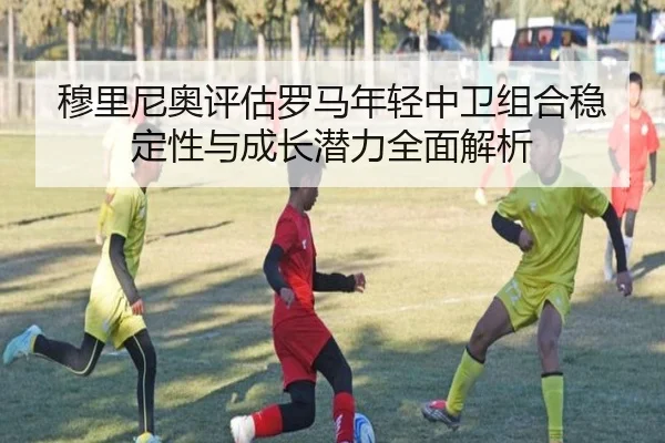 mu-li-ni-ao-ping-gu-luo-ma-nian-qing-zhong-wei-zu-he-wen-ding-xing-yu-cheng-zhang-qian-li-quan-mian-jie-xi-3-247.jpg